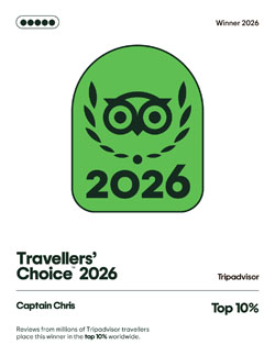 Tripadvisor Announces 2026 Travelers' Choice Awards